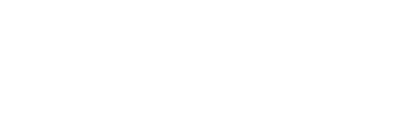 Rhine Bird Logo